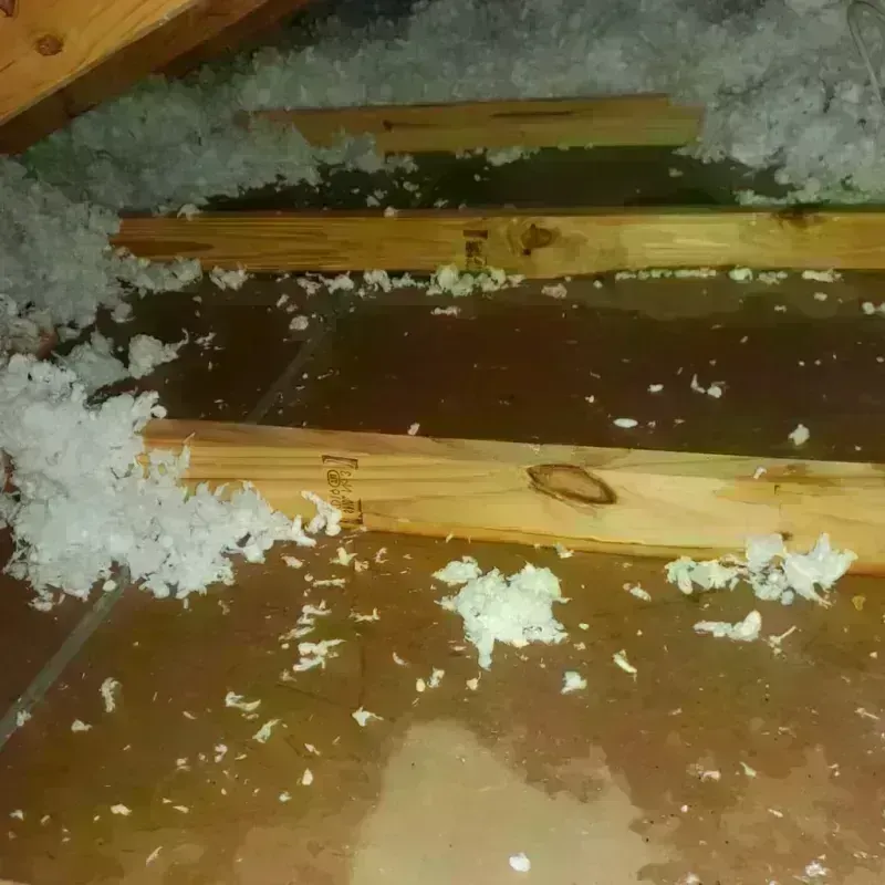 Attic Water Damage in Pannill Fork, VA